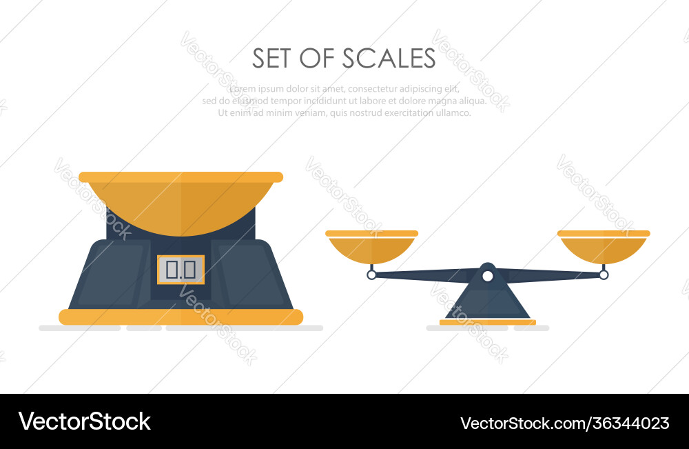 Set different scales in a flat style Set different scales in a flat style Vector Image