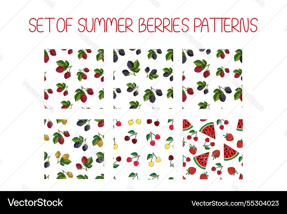 Set of seamless patterns with raspberry vector image