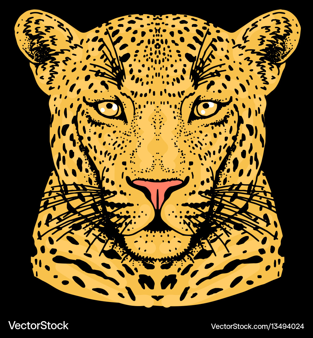 Leopard Face Print vector image