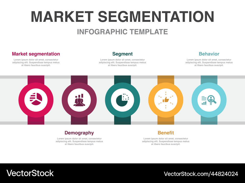 Market segmentation demography segment benefit Vector Image