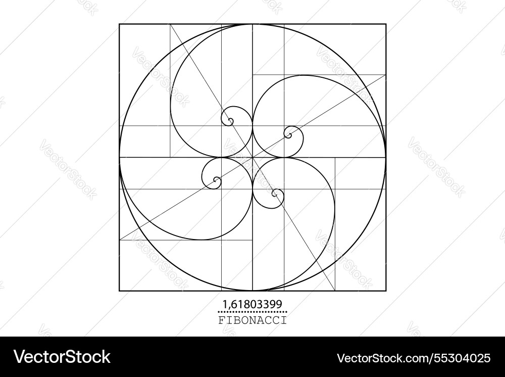 Fibonacci sequence spirals golden ratio circles Fibonacci sequence spirals golden ratio circles Vector Image