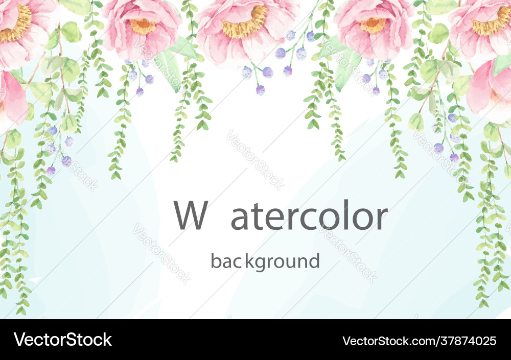 Watercolor Pink Peony Floral Background Vector Image