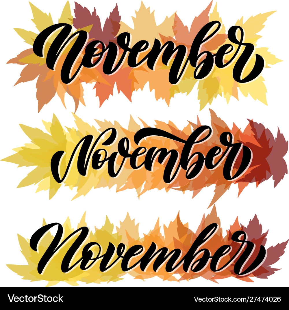 November set three script hand written November set three script hand written vector image