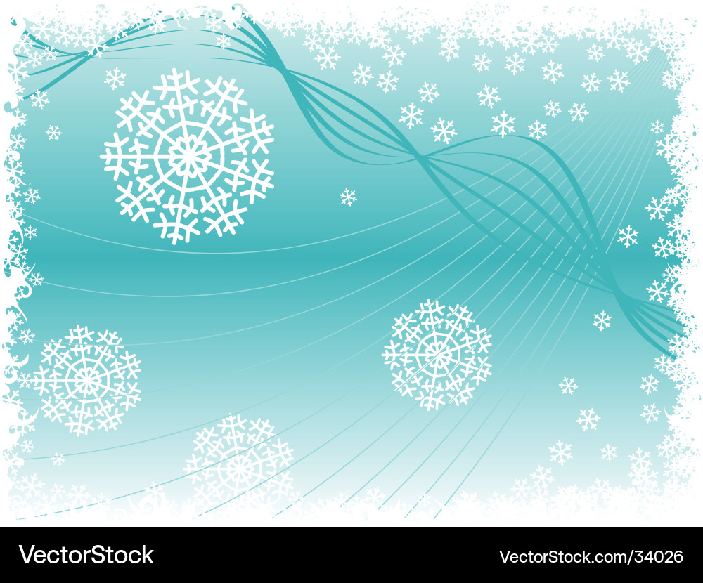 Snowflake vector image