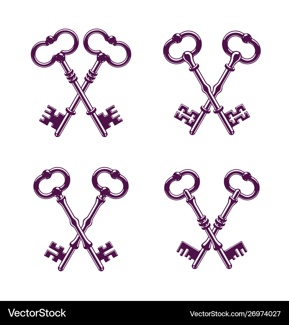 Crossed keys protected secret electronic data Vector Image