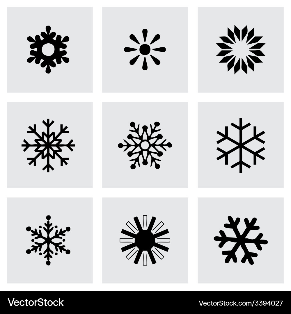 Snowflake icon set vector image