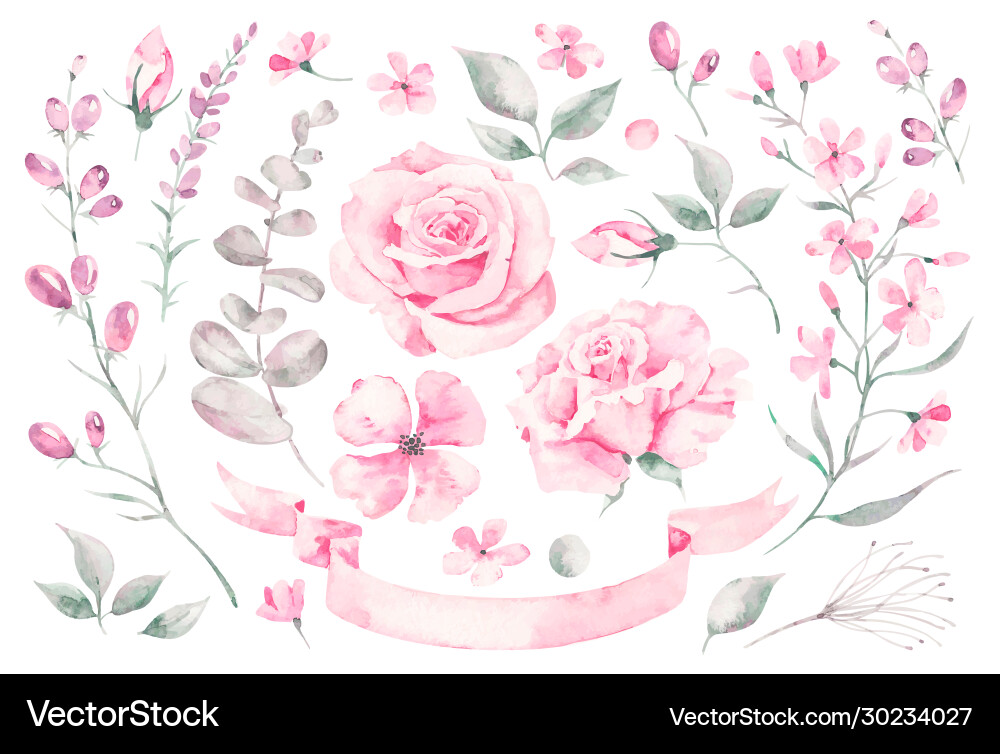 Watercolor Rose & Leaf Set Vector Image