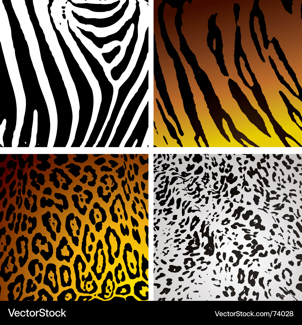 Animal Print Texture vector image