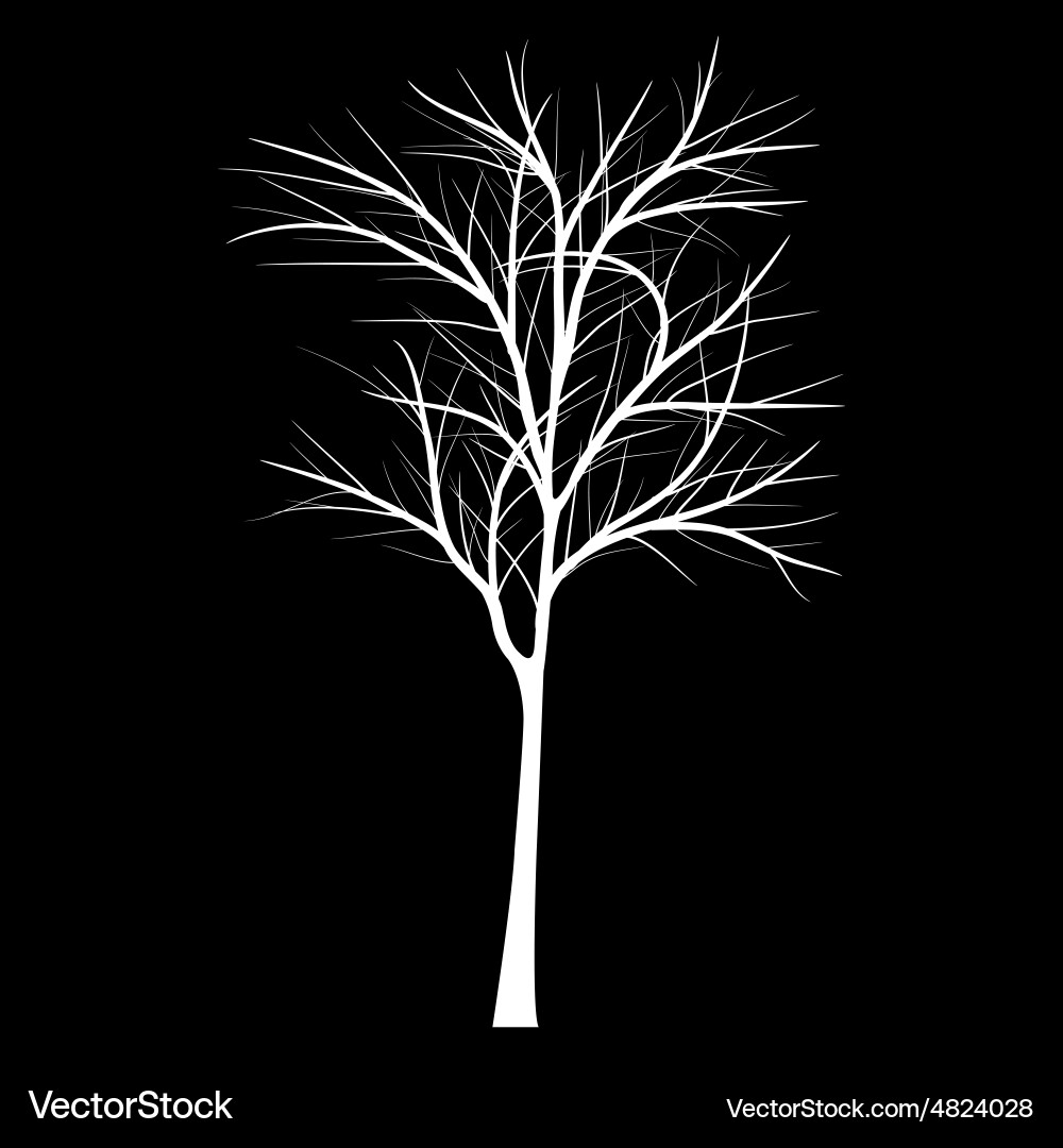 Trees with dead branch Vector Image