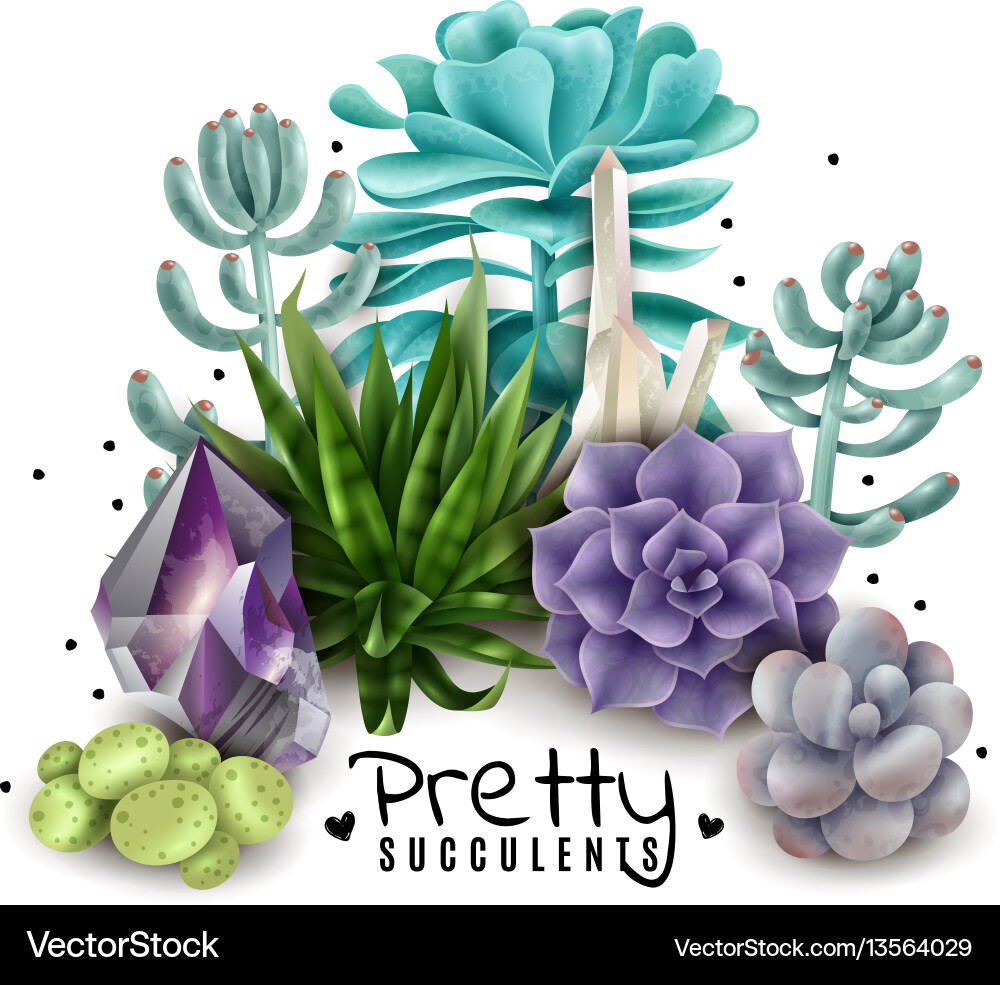 Colorful Succulents & Crystals Vector Image