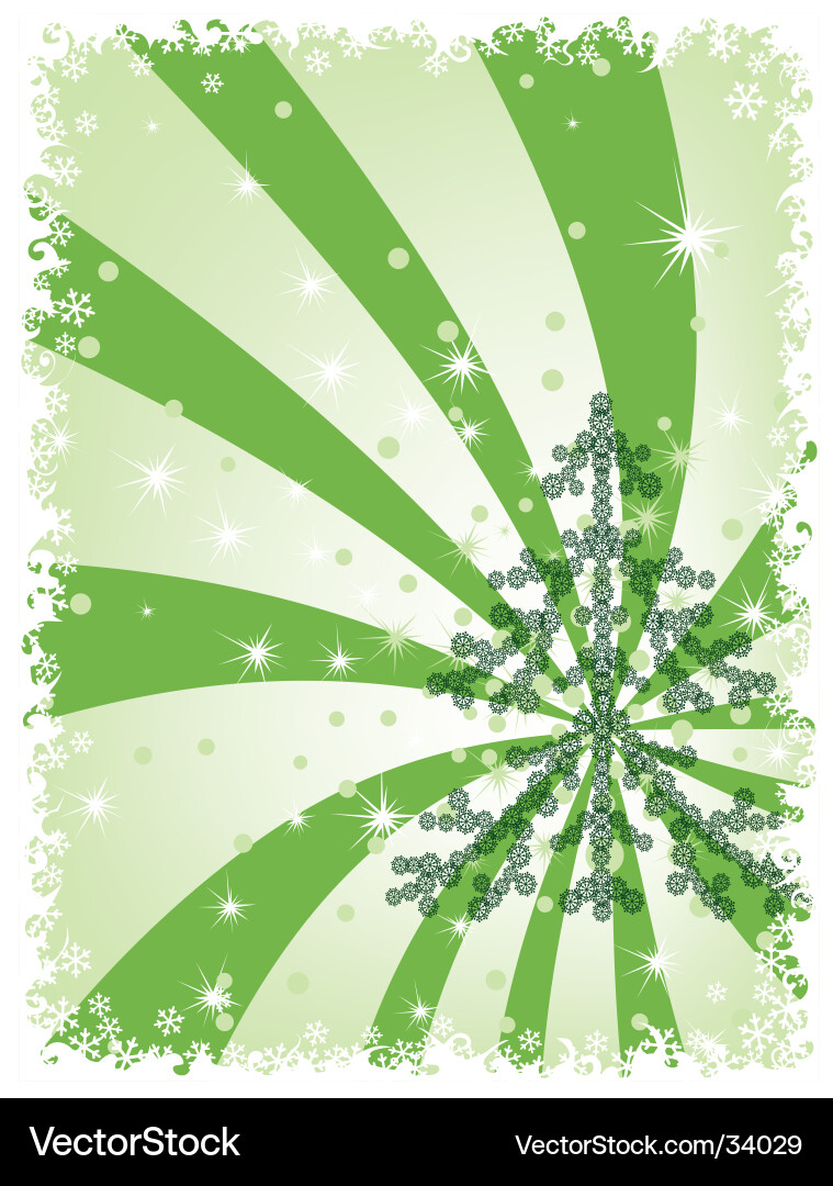 Fir tree Vector Image