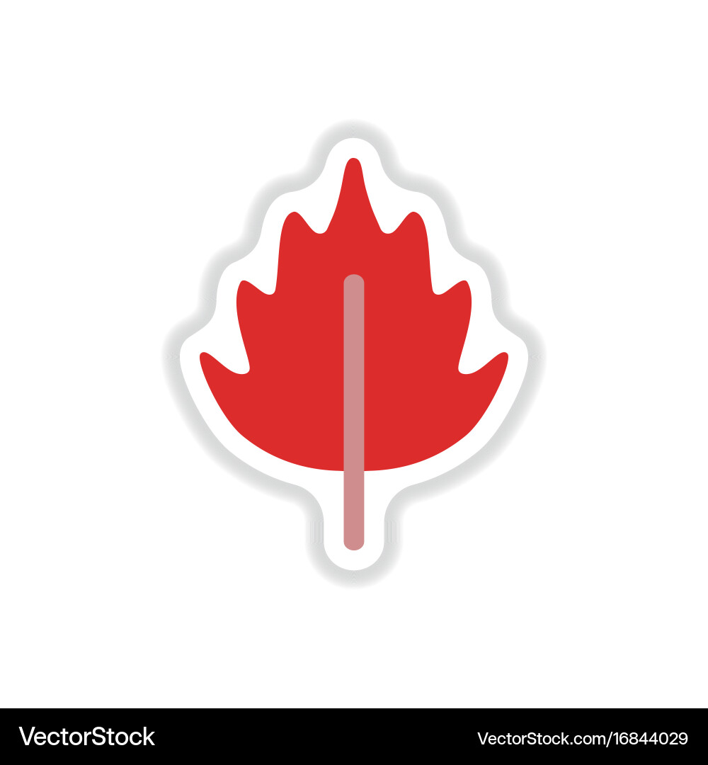 Label with leaf shadow icon design collection vector image