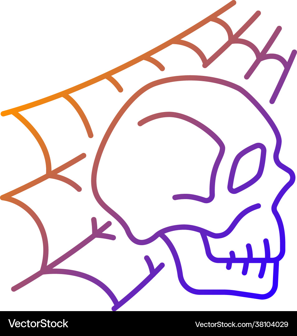 Skull with spider web gradient linear icon Skull with spider web gradient linear icon Vector Image
