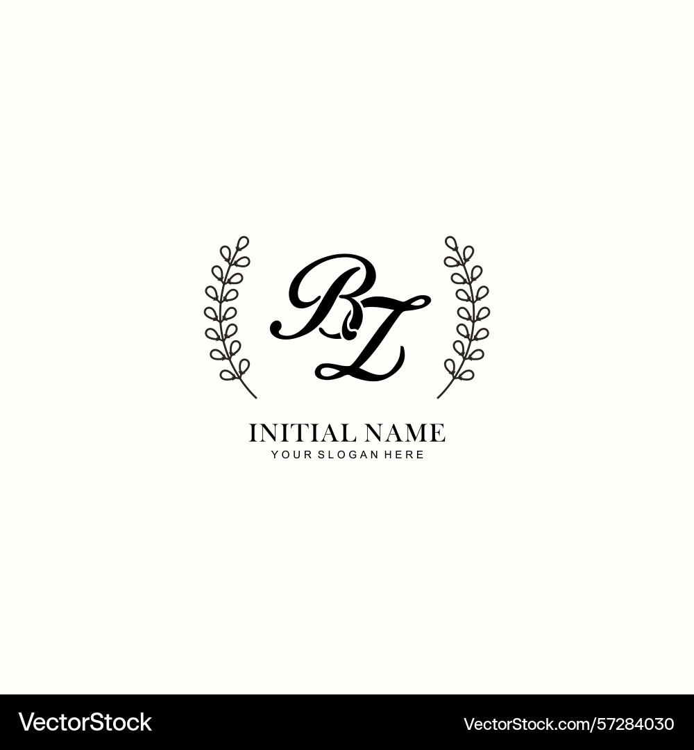 Bz initial logo templates with botanical elements Vector Image