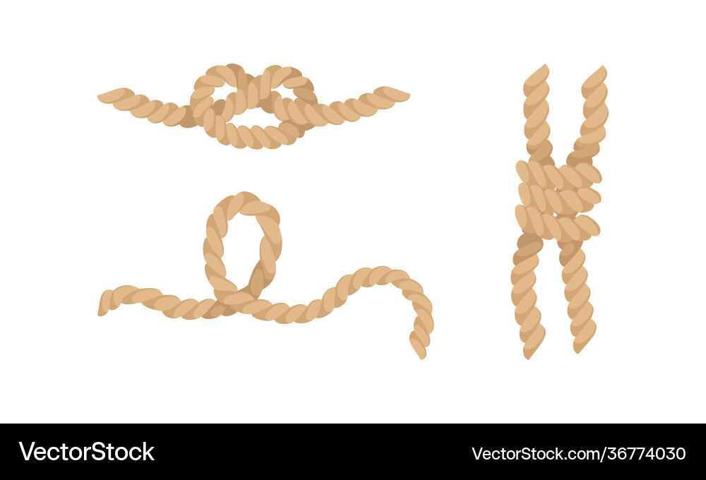 Knot as complication cordage with bend and loop Vector Image