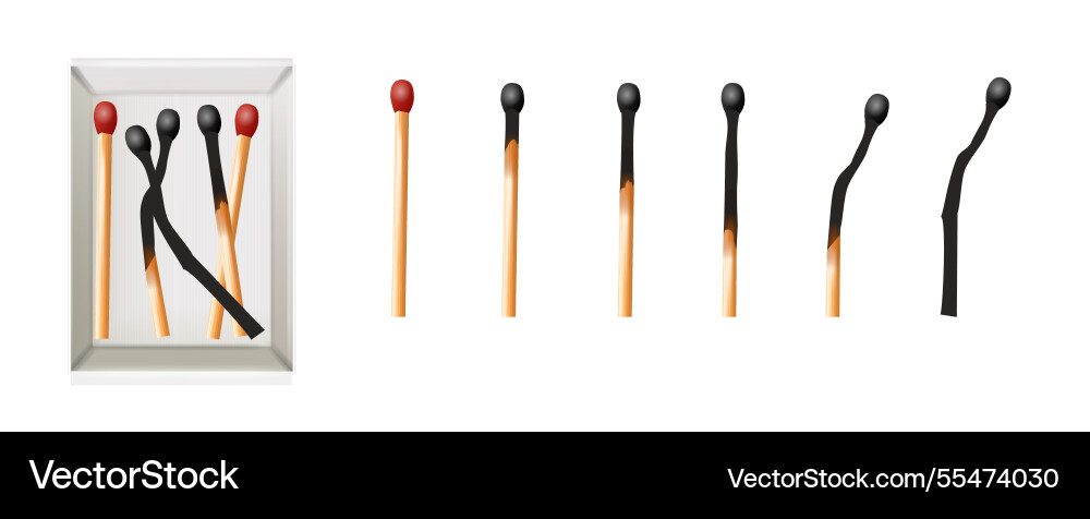 Matchbox empty package for match sticks in top Matchbox empty package for match sticks in top vector image