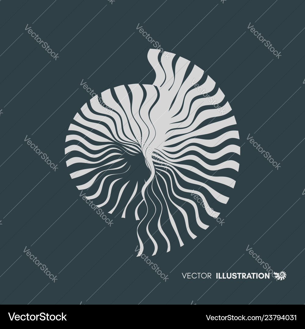 Abstract Nautilus Shell Motif vector image
