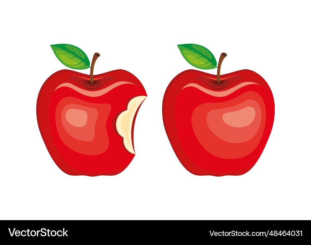 Whole apple and bitten red fruit icons Whole apple and bitten red fruit icons vector image