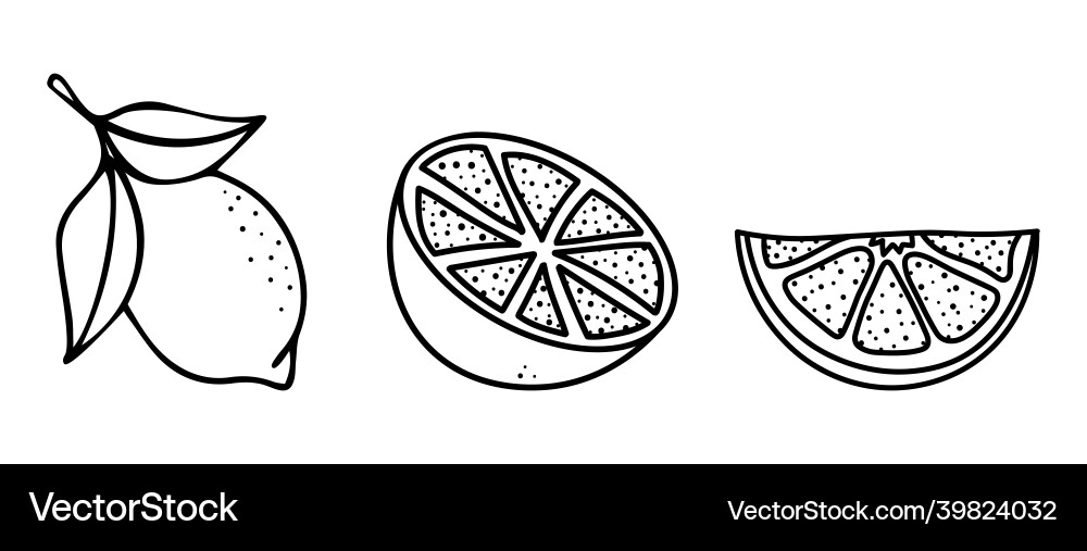 Lemon icons set simple design lime Lemon icons set simple design lime vector image