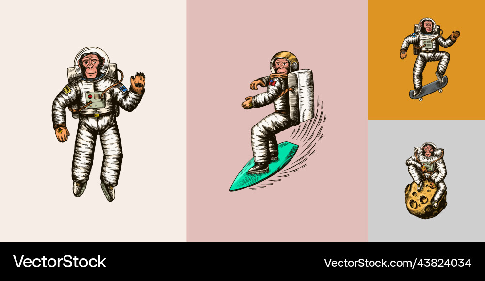 Monkey astronaut with whale guitar skateboard Monkey astronaut with whale guitar skateboard vector image