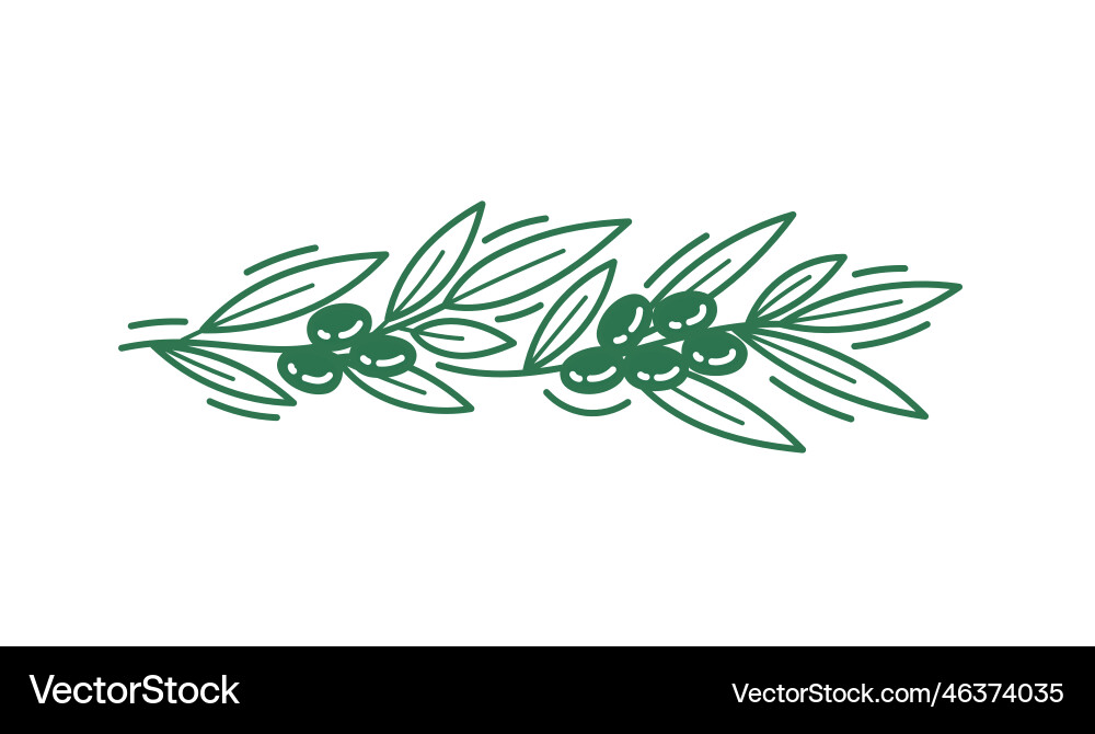 Olivenzweig Blumenschmuck Linie Muster Vektorbild