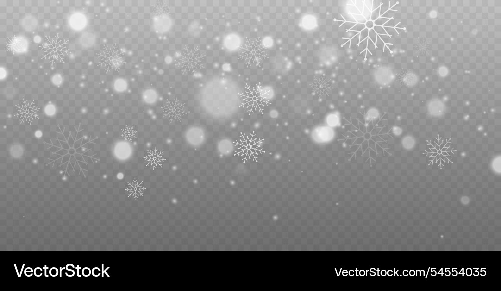 Realistic falling snow Realistic falling snow vector image