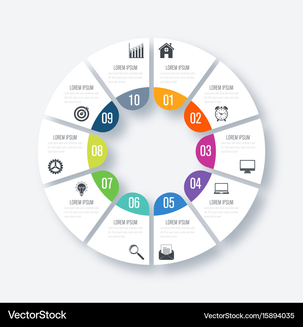 Workflow Diagram Template - Circle Options Vector Image