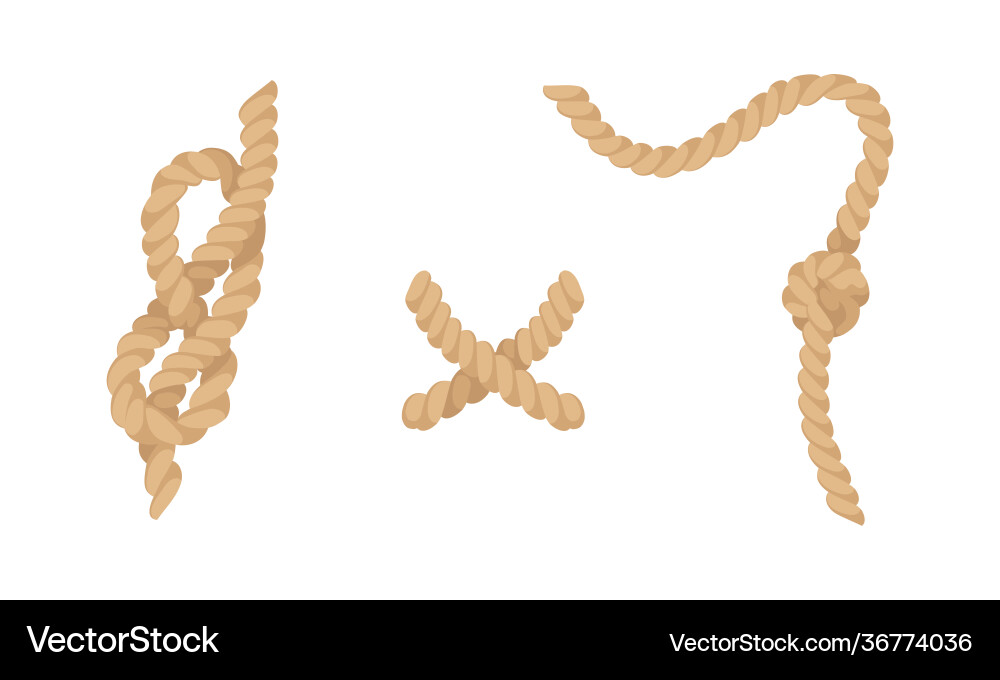 Knot as complication cordage with bend and loop Vector Image