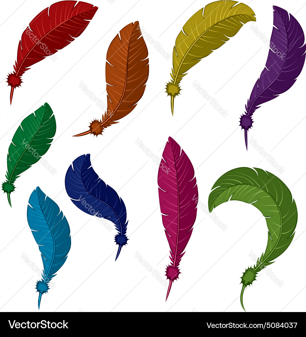 Feathers set Vector Image