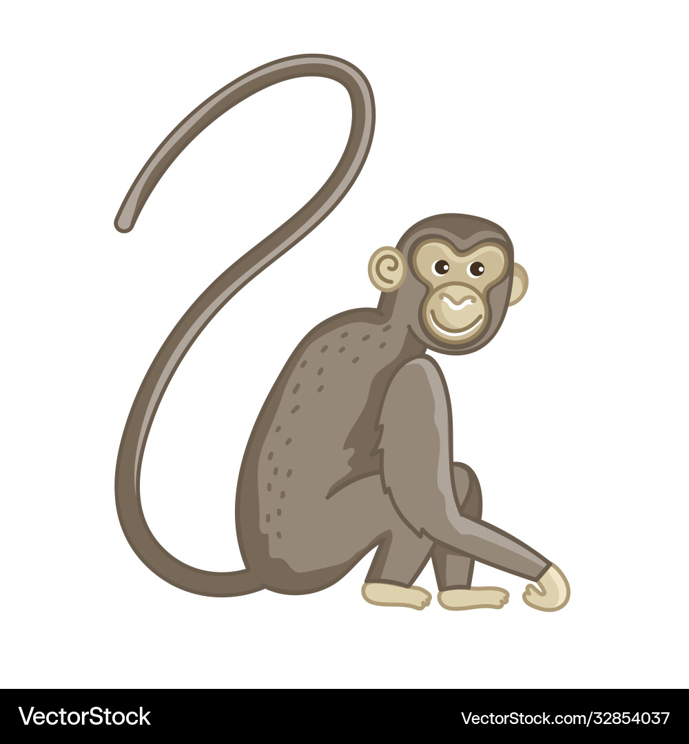 Spider Affe isoliert wild ape mit lange Schwanz Spider Affe isoliert wild ape mit lange Schwanz vektorbild