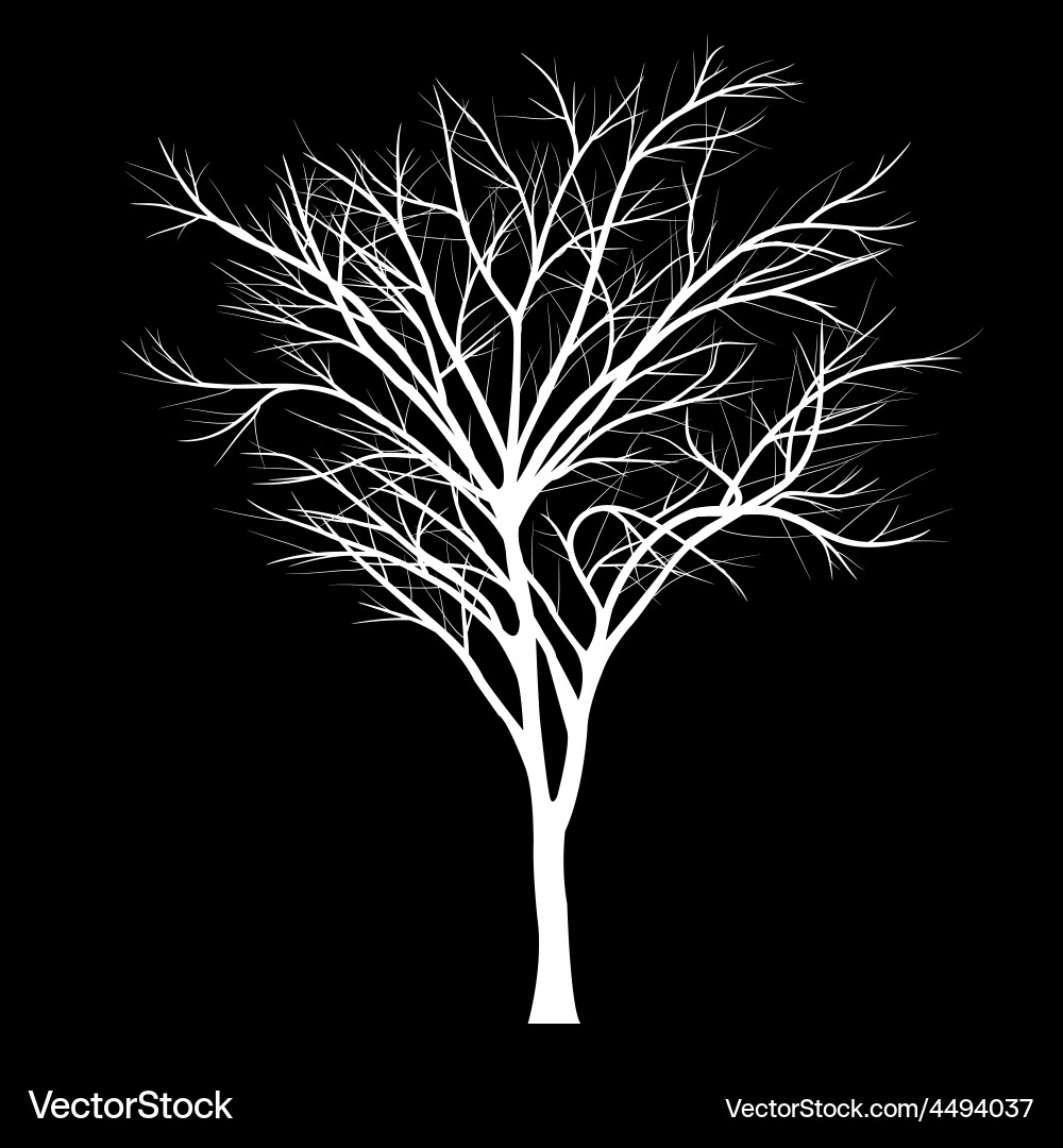 Trees with dead branch vector image