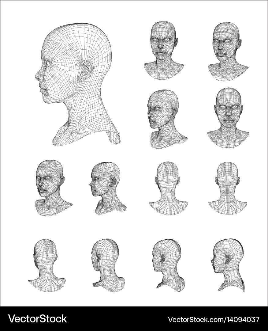 Wireframe head 3d model vector image