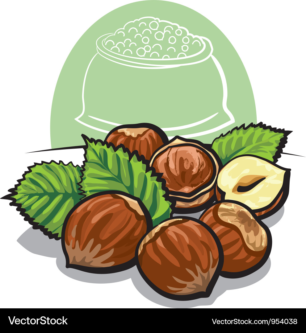 Hazelnut Collection Vector Image