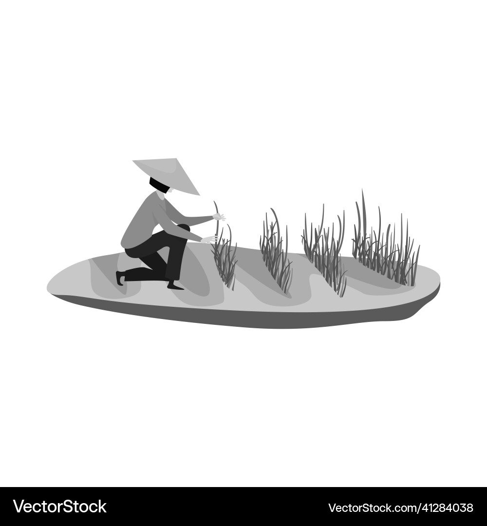 Isolated object of rice and field symbol Vector Image