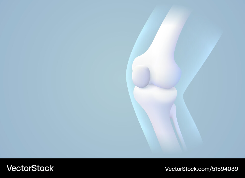 3D Knee X-Ray Visualisierung Vektorbild