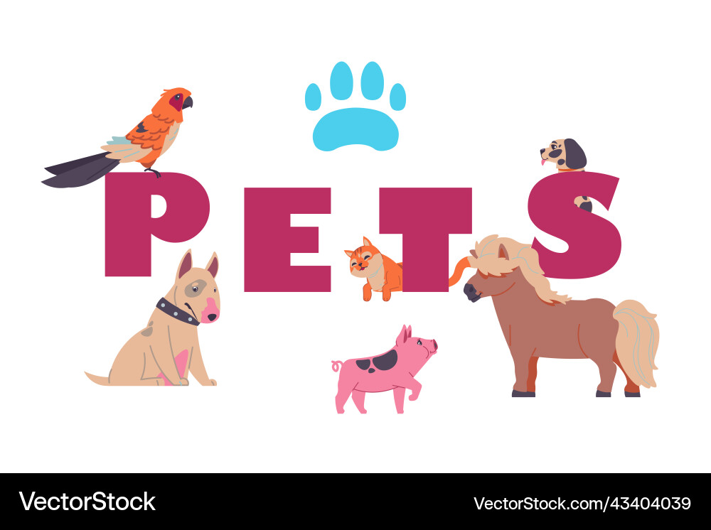 Adopted pets cartoon banner with lettering Adopted pets cartoon banner with lettering vector image