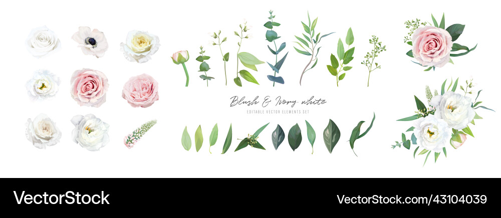 Blush Pink Floral Bouquet Set Vector Image