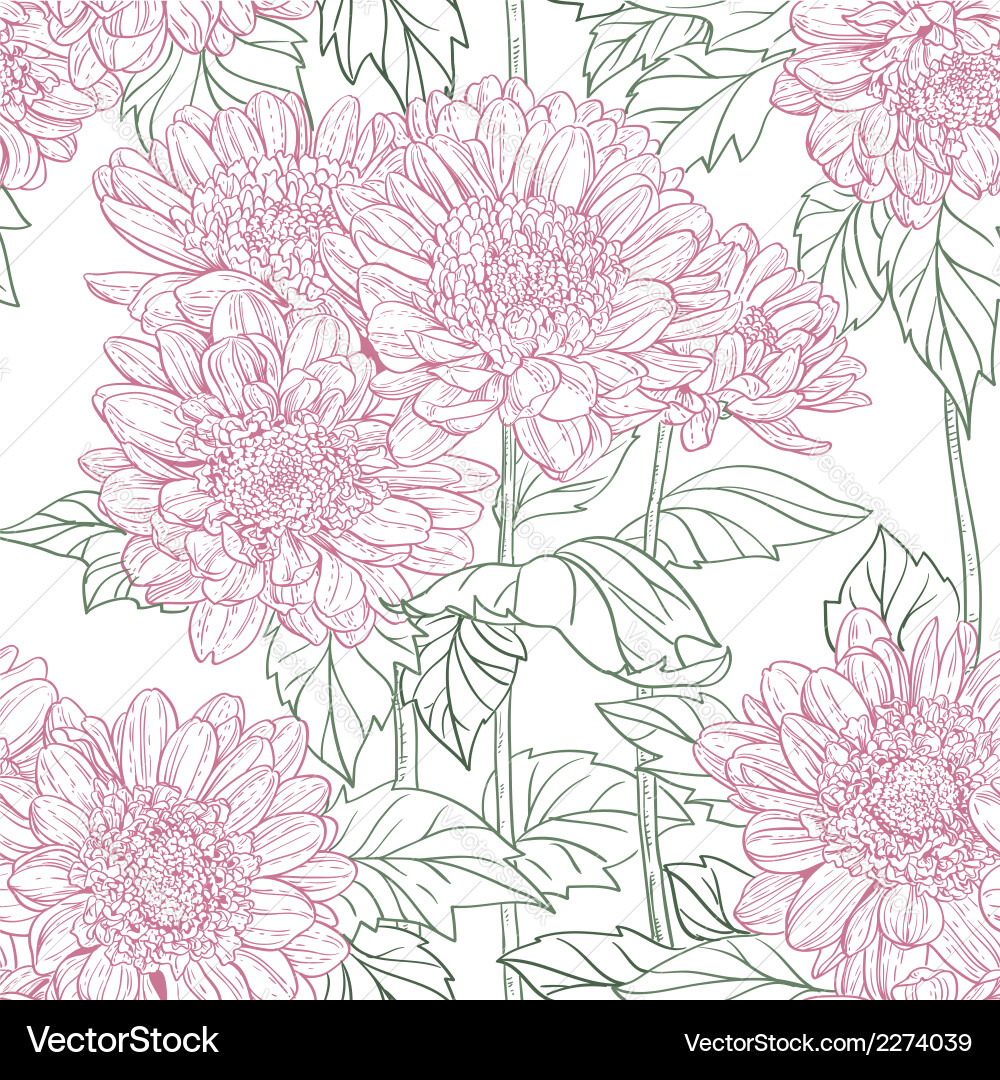 Seamless pattern chrysanthemum Royalty Free Vector Image