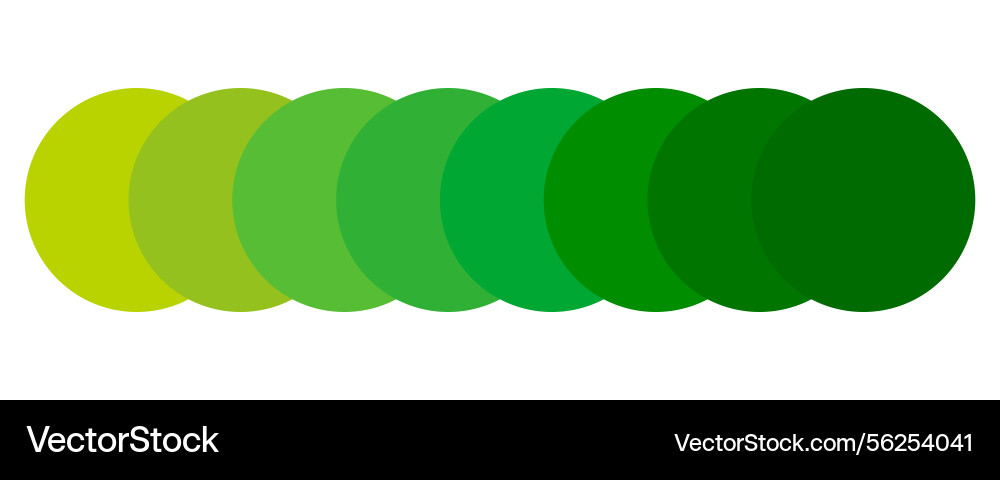 Green palette tones circular gradient range color Green palette tones circular gradient range color vector image