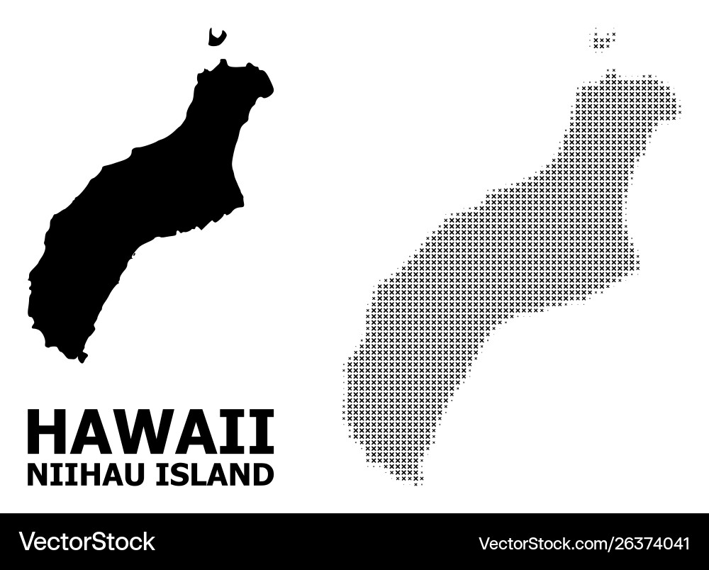 Halftone pattern and solid map niihau Vector Image