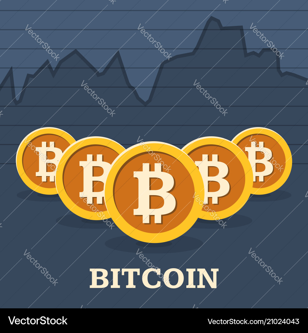 Bitcoin Exchange Rate Graph vector image
