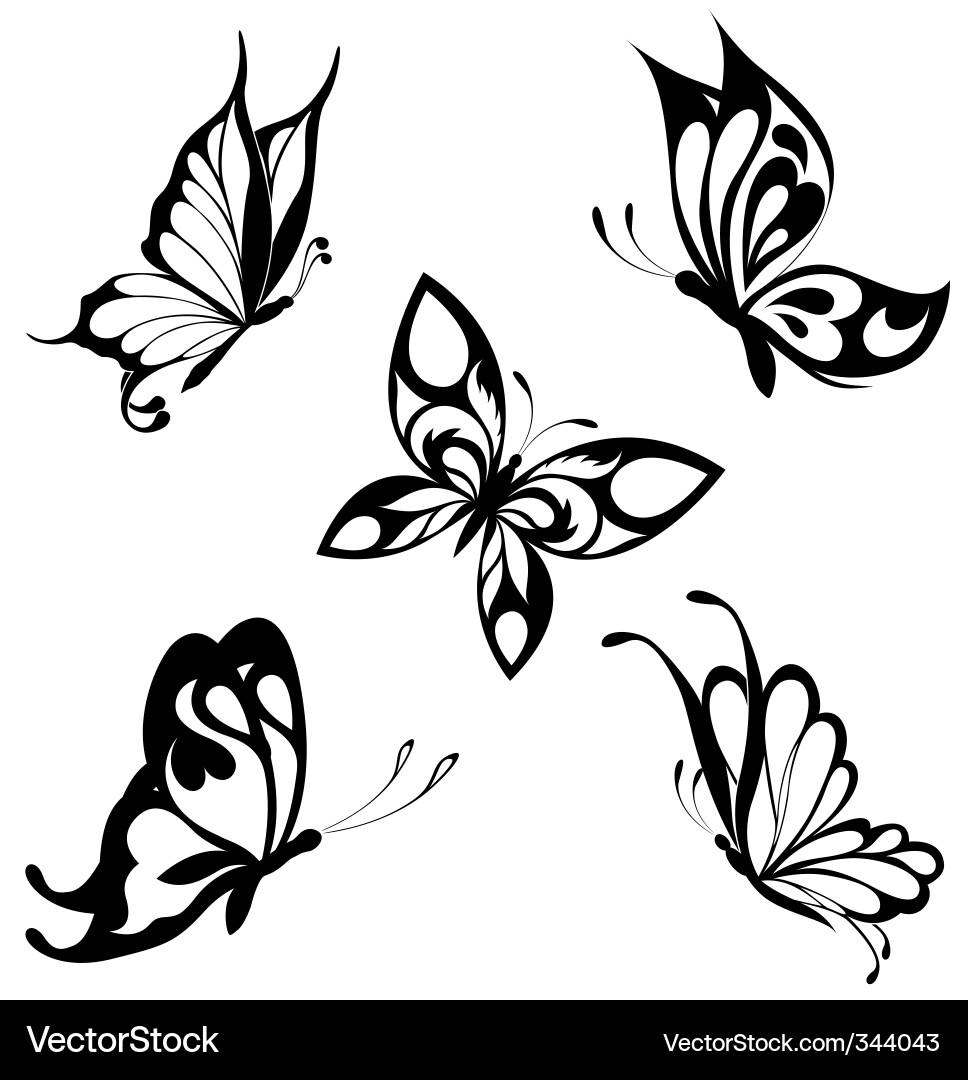 Elegant Butterfly Swirls vector image