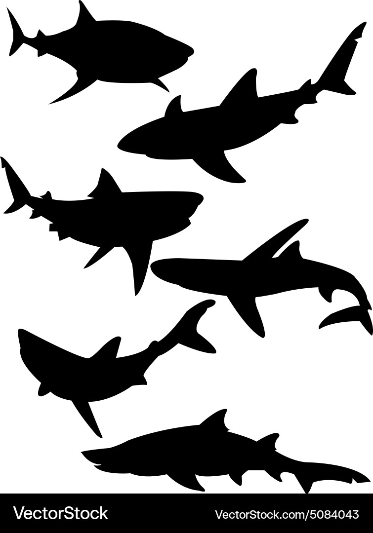 Shark Silhouettes - Ocean Predators vector image