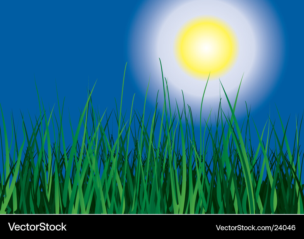 Landscape Vector Image