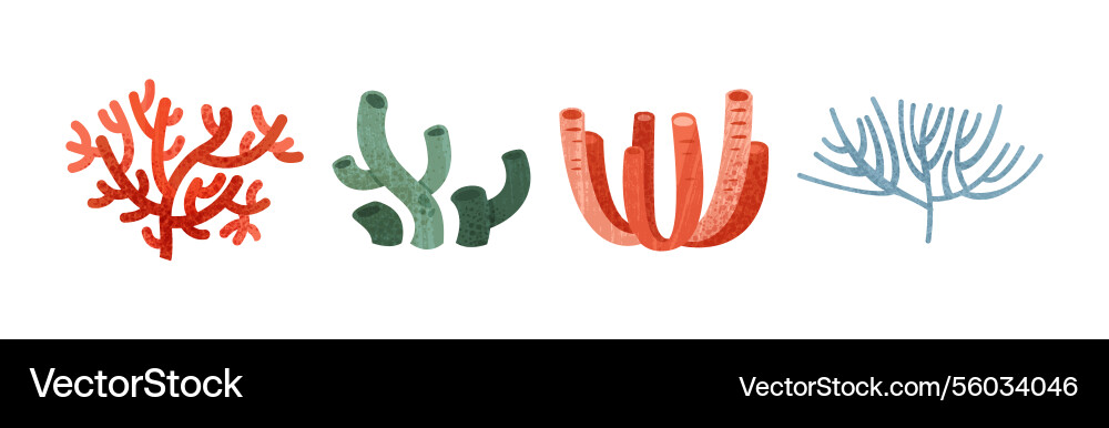 Sea weeds and algae of different color shape Sea weeds and algae of different color shape vector image