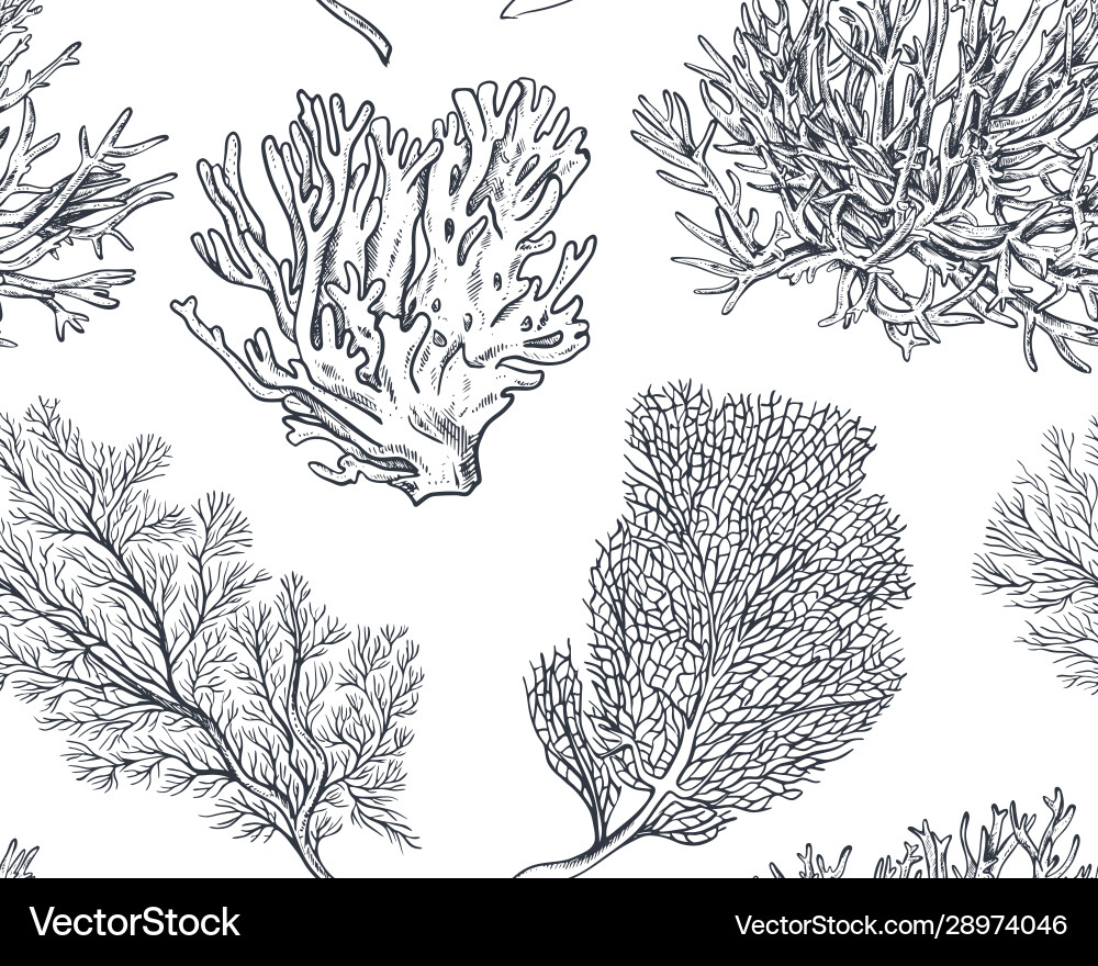 Seamless pattern with hand drawn ocean Royalty Free Vector