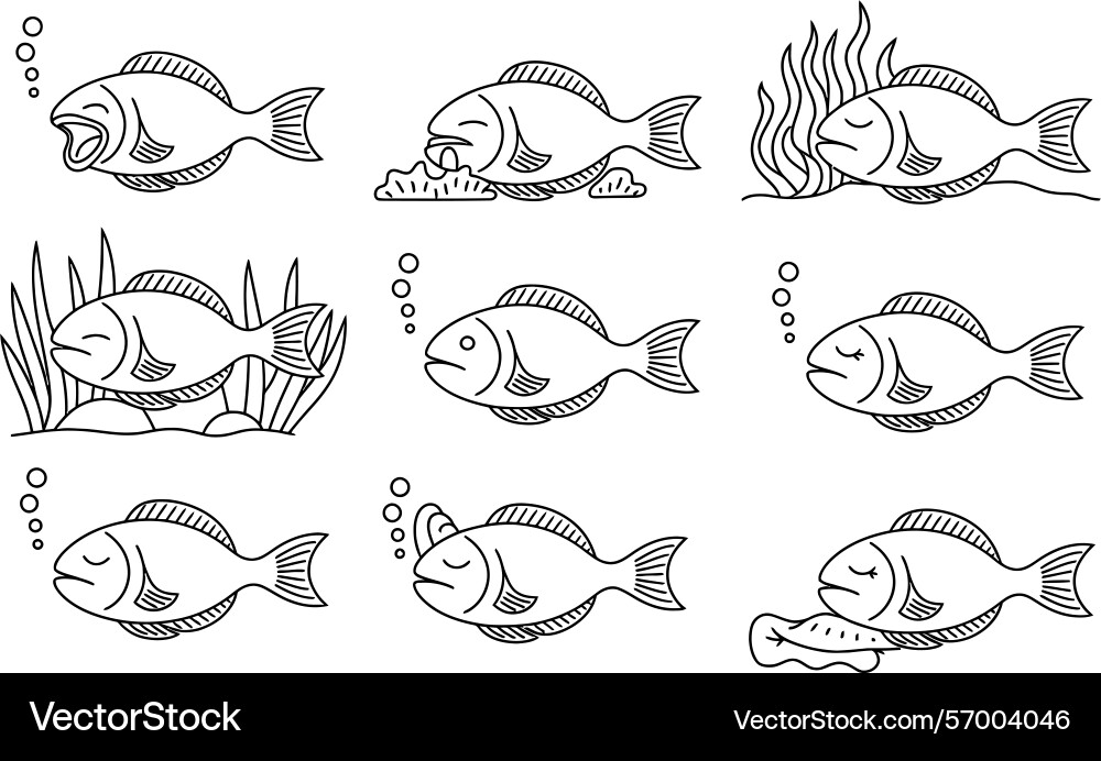 Set of fish in different poses line art simple Vector Image