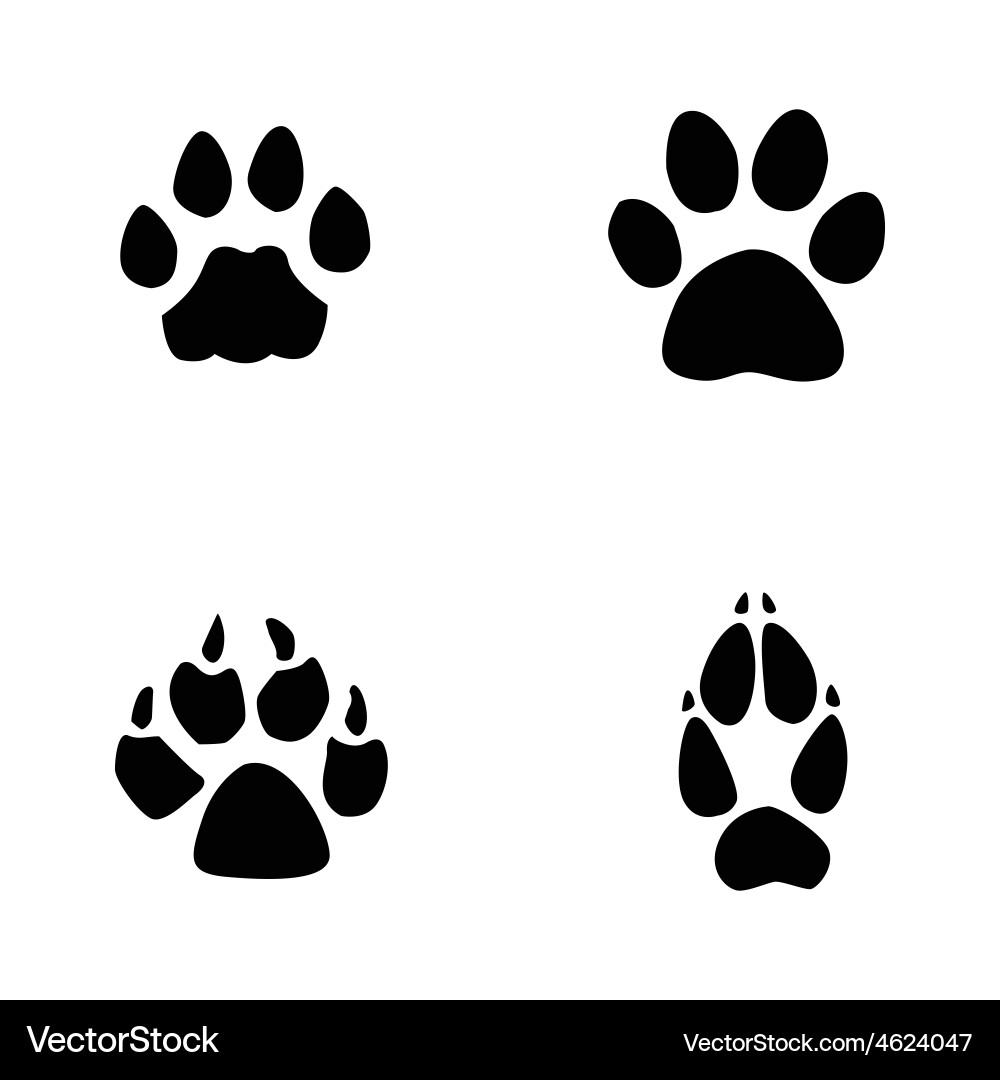 Animal Footprint Silhouette vector image