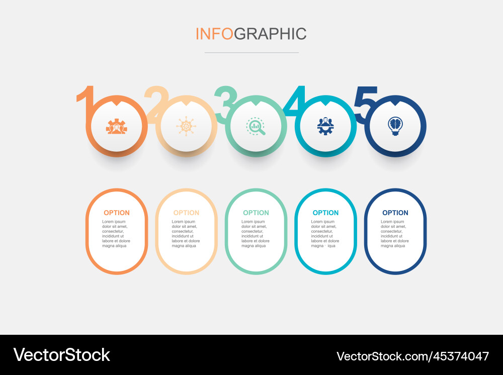 Development management analysis teamwork smart vector image