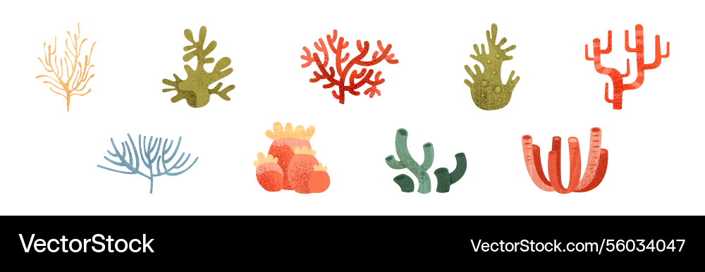 Sea weeds and algae of different color shape Vector Image